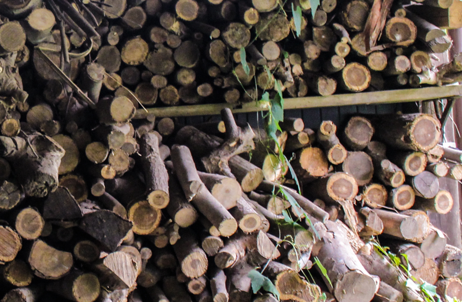 自宅敷地内に置かれた薪は豊かさの象徴でもある。