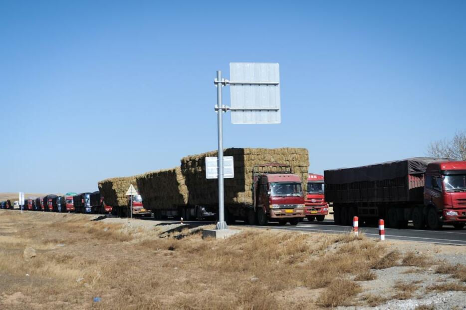 秋になると乾燥草を運ぶトラックで国道が大渋滞になる。また、交通事故も圧倒的に増える。この日も事故があり、渋滞になった。＝シリンゴル盟・シリンホト市郊外207号国道（2014年10月撮影）