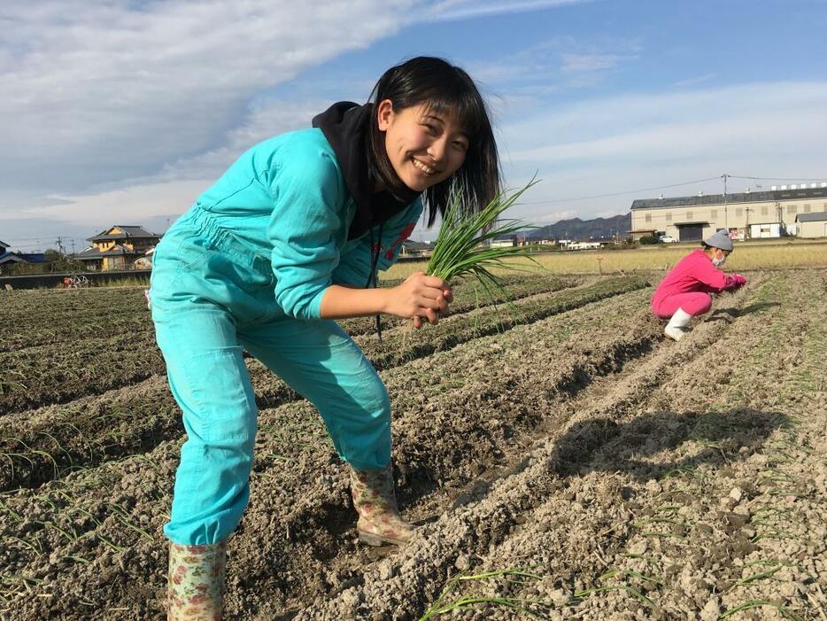 たまねぎの苗の植え付けをする愛の葉Girlsのメンバー（写真提供：hプロジェクト）