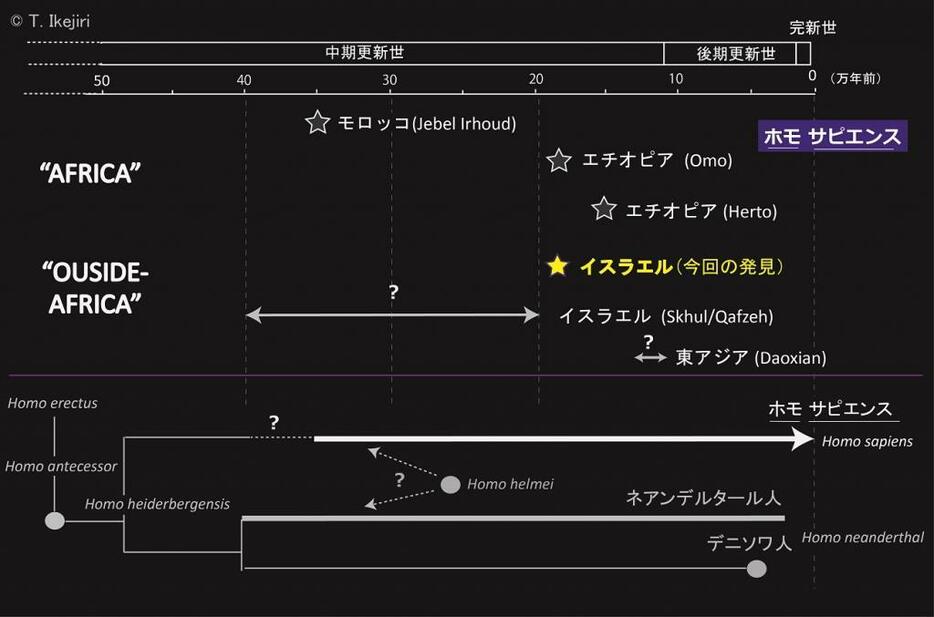 おもな更新世のホモ・サピエンスの化石記録（上部）。アフリカ大陸のものとアフリカ外（Outside-Africa）のものとに分けてある。下の図は近縁の種・亜種との系統関係を示す（著者作成）