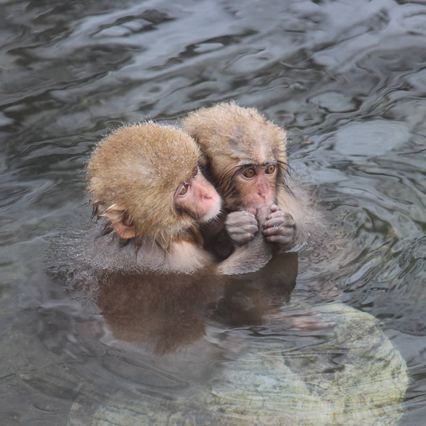 [写真]温泉でゆったり・「信州の味感じて賞」（masao0224wさん）