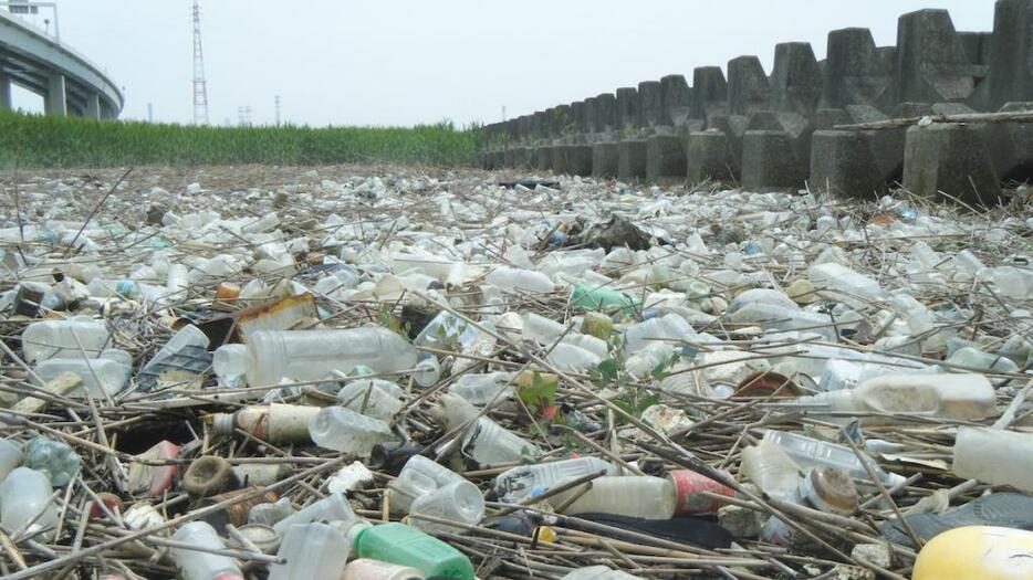 海岸に漂着したプラスチック（提供：高田秀重教授）