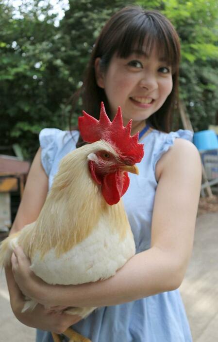 [写真]天王寺動物園で幸運のニワトリ「マサヒロ」「ヨシト」を抱っこできる（写真はヨシト）=6日、天王寺動物園で