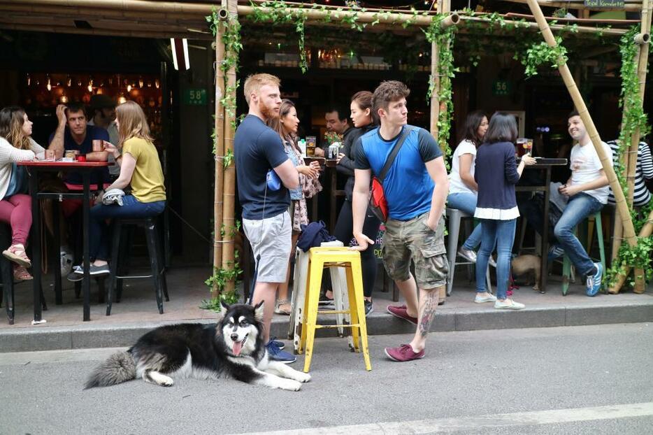 犬の散歩ついでの一杯、という地元感も面白い