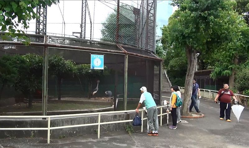 [写真]天王寺動物園のツル舎が老朽化のため建て替えが決まった＝11日午後12時ごろ、大阪市天王寺区で