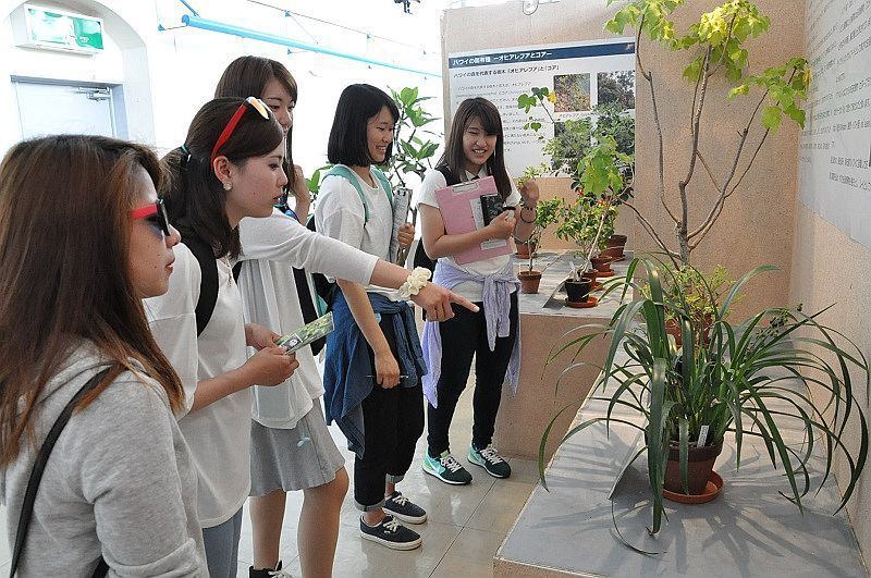 [写真]園芸を学ぶ専門学校生たちが和やかに見学