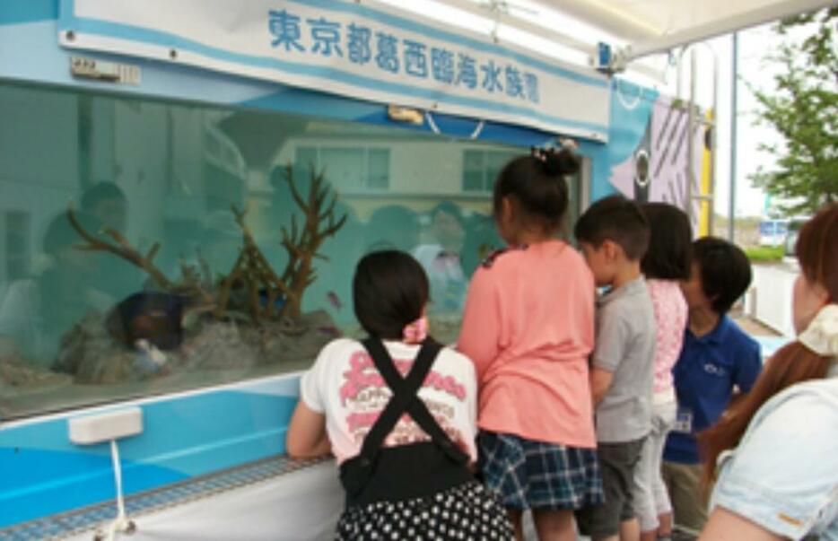 大型水槽での展示解説（東京都発表資料より）