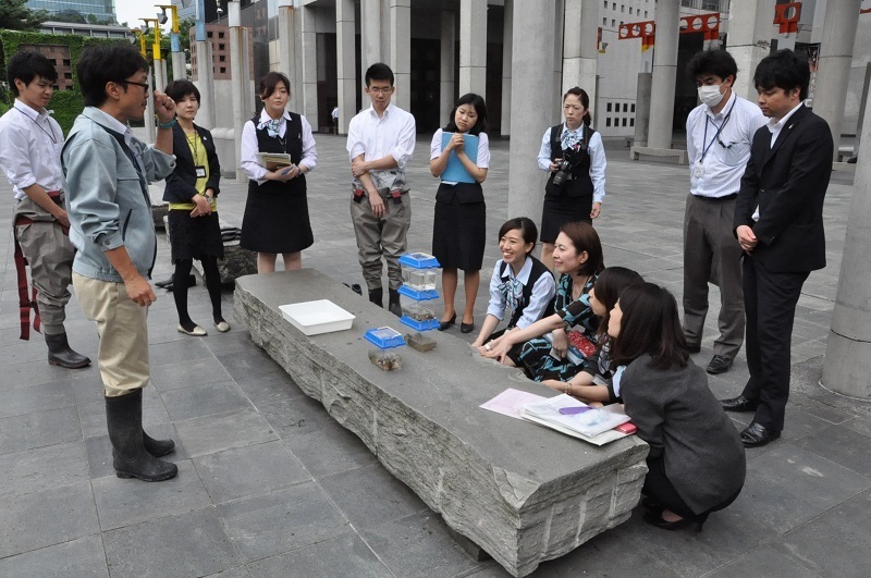 [写真]「新・里山」で見つかった生きものたちのミニ観察会