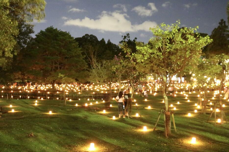 奈良公園のあちらこちらでこうした光景がみられる。期間は14日まで