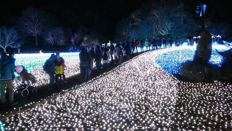 [写真]光の中にある幅が狭い道を多くの人が列をなして歩く=8日午後7時ごろ、奈良県奈良市で