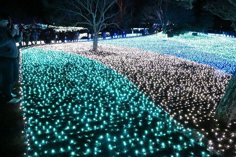 [写真]瑠璃色の輝きが多くの来場者の目を楽しませている=8日午後7時ごろ、奈良県奈良市で