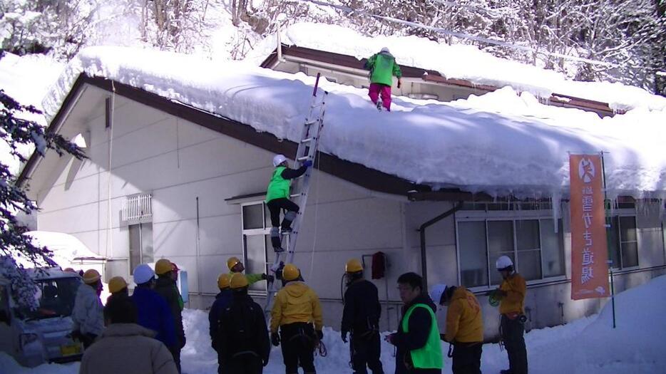 [写真]雪かき用はしごの実験。横に滑らない工夫をしてある