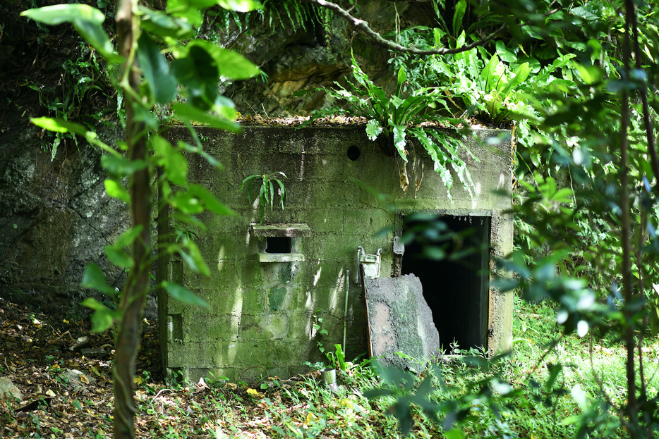 沖縄本島北部に残る監置小屋
