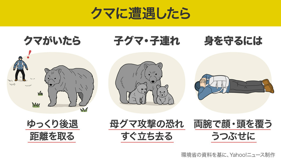 【図解】クマに遭遇したら（画像制作：Yahoo! JAPAN）