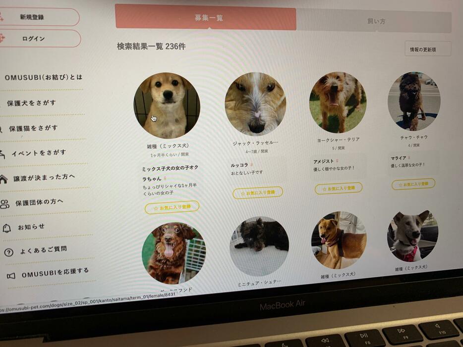 里親マッチングサイト「OMUSUBI」（撮影：小川匡則）