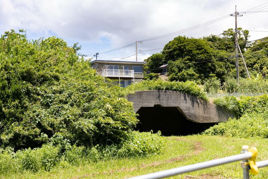 こちらは敵から戦闘機を隠す掩体壕（えんたいごう）。「街で空襲にあったら、たくさん掘られた防空壕に飛び込むように教わりました」（松苗さん）（撮影：キンマサタカ）