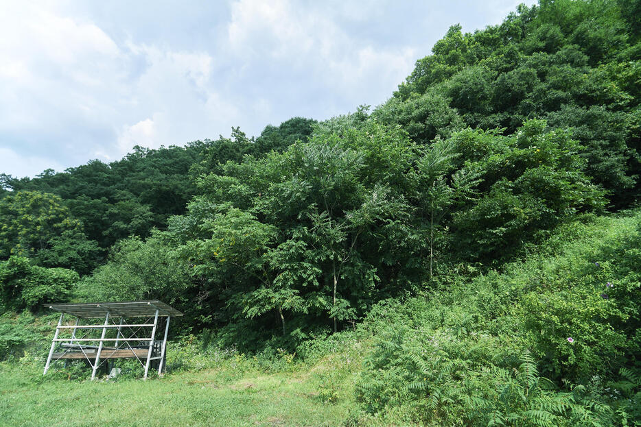 象山。この下にあんな地下壕があるとは想像できない