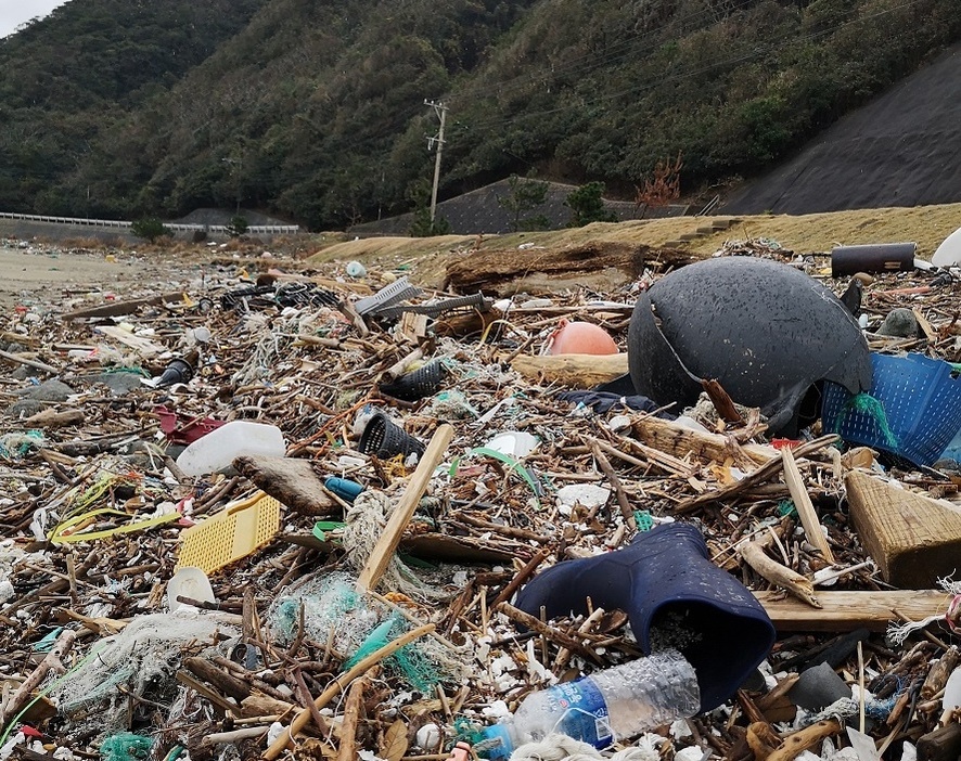 長崎県対馬市の海岸（写真提供：林光邦氏）