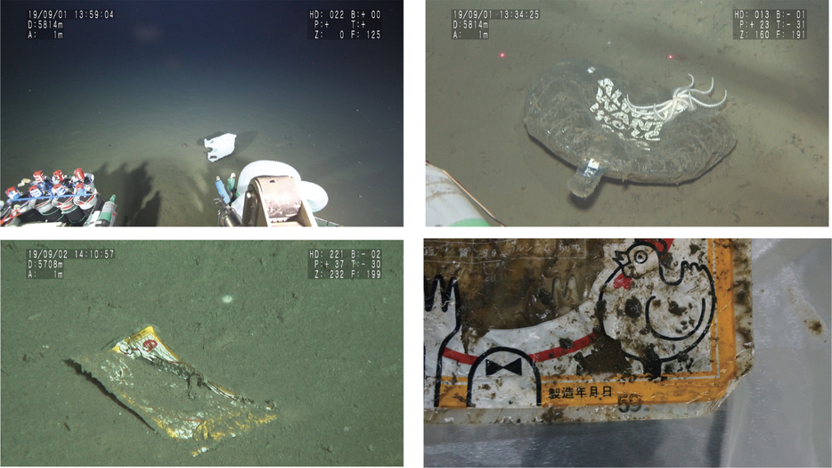 有人潜水調査船「しんかい6500」で水深約6000メートルの深海底を調査したときの様子。発見されたプラごみの中には昭和59年（1984年）9月と記されたチキンハンバーグの容器もあった（画像提供：海洋研究開発機構）