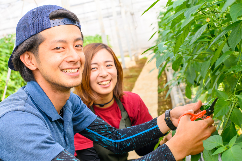 東京から移住してきた佐師夫妻（写真：川南町）