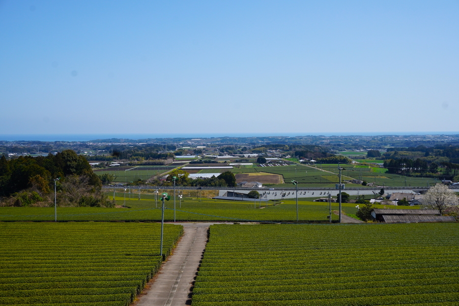 丘の上から見た川南町の風景