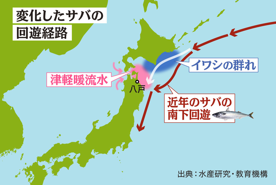 八戸魚市場仲買青年会主催「令和3年度イカ・サバ・イワシ等の漁海況予報説明会」資料（水産研究・教育機構）より（図版：ラチカ）