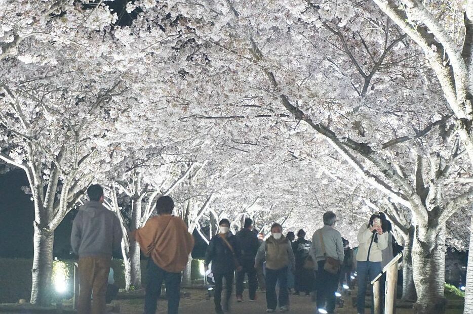 おの桜づつみ回廊