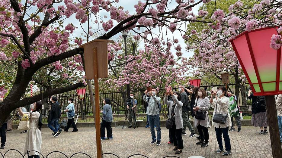 ［写真］今年の公開は事前予約制となった。来場者は写真撮影を楽しんでいた＝13日午前10時半ごろ、大阪市北区で