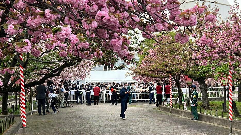 開門前の南門付近。この後、密を避けるため、少し早く開門していた