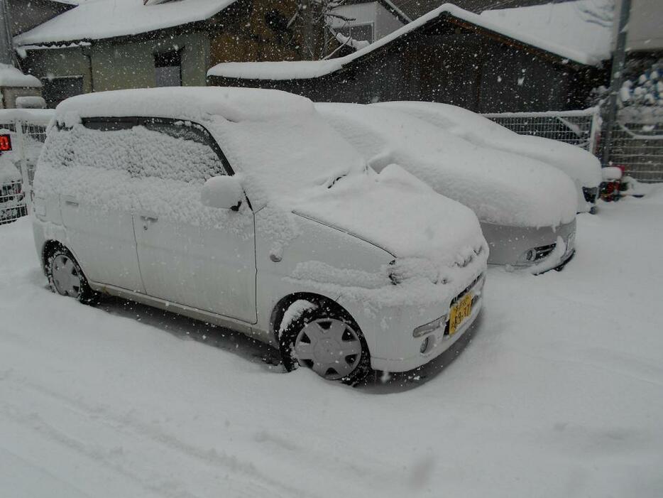 [写真]駐車場の車も雪で覆われて（長野市内）
