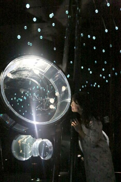 [写真]海遊館の新たなクラゲエリア「海月銀河」。幻想的な光景を楽しめる＝16日午後、大阪市港区で（撮影：柳曽文隆）