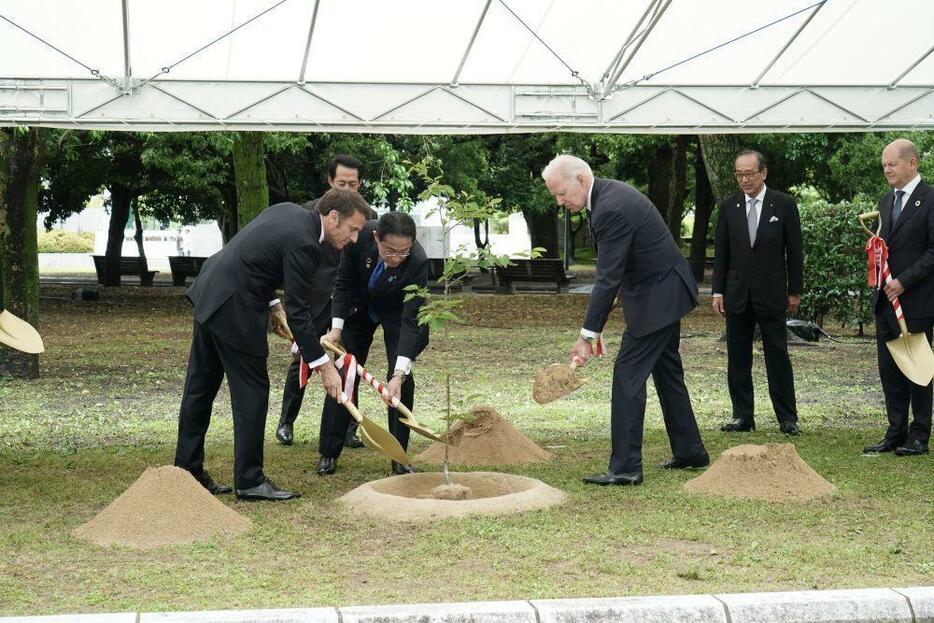 ［写真］平和記念公園内に「被爆（ひばく）桜」と呼ばれるソメイヨシノの苗木を植樹した