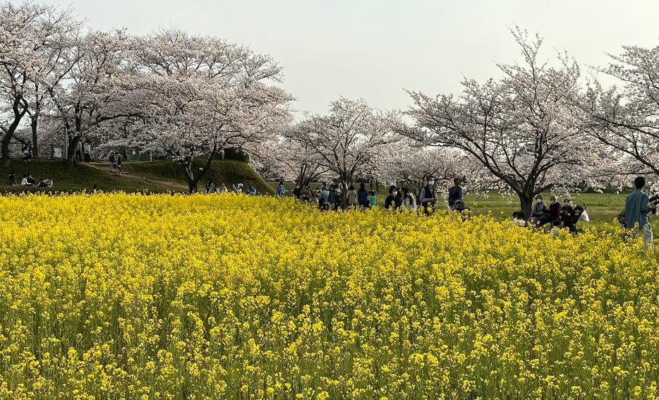 ［写真］新しいランドセルを背負って制服姿で写真を撮る地元の子どもたちの姿もあった＝30日午後4時50分ごろ、奈良県橿原市で