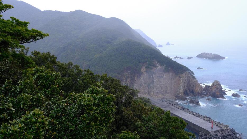 伊座利展望台から見る伊座利漁港。小さな集落は木々に隠れて見えなかった（写真：飯田和樹）