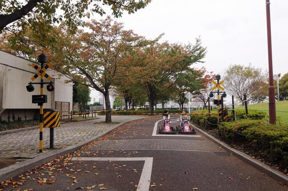 [写真]荒川区最大の敷地面積を誇る荒川自然公園には、交通ルールを学ぶ交通園や野草園、昆虫観察園などもある