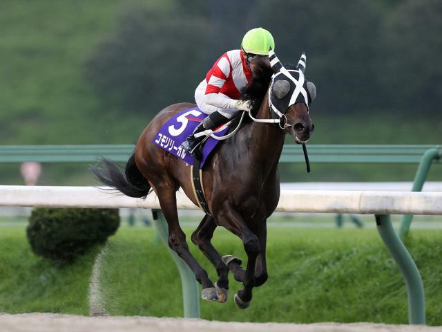 2番人気コモリリーガルが勝利(提供：岩手県競馬組合)