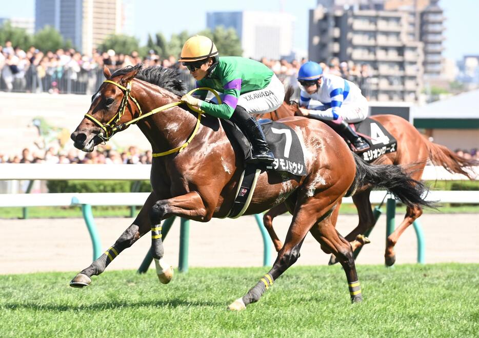 　クローバー賞を勝ったニタモノドウシ（撮影・園田高夫）