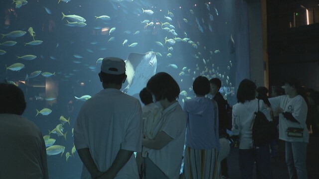 「四国水族館」香川県宇多津町