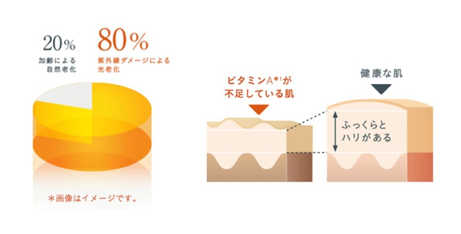 ビタミンAは紫外線によって壊れていく性質のため、常に補っていくことが大切だ