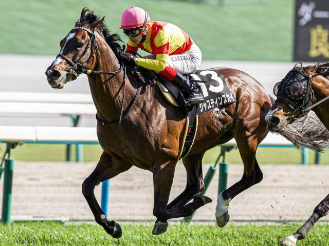 前々走の鞍馬Sを快勝したジャスティンスカイ(今年5月撮影、ユーザー提供：oneさん)