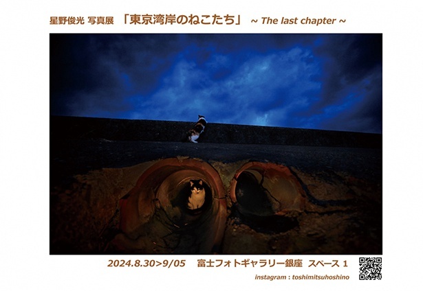 星野俊光写真展「東京湾岸のねこたち」～The last chapter～