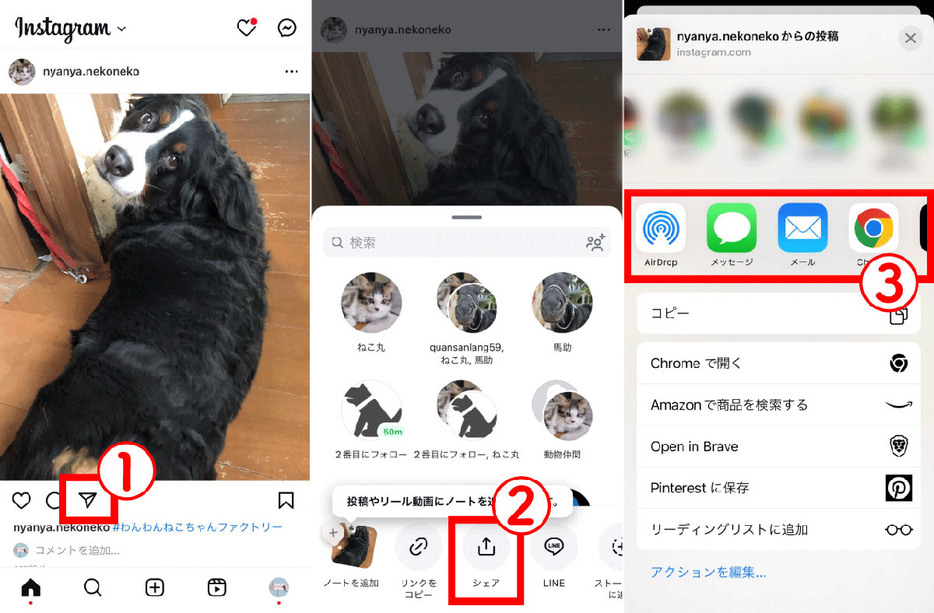 インスタグラムの共有ボタンの場所 | フィードをシェアする方法