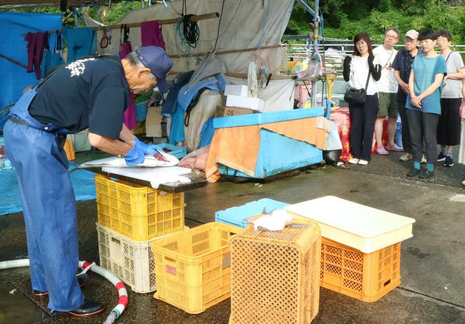 佐渡二ツ亀ビューホテルが始める「鷲崎漁港朝穫れ朝食」のモニター体験=佐渡市鷲崎