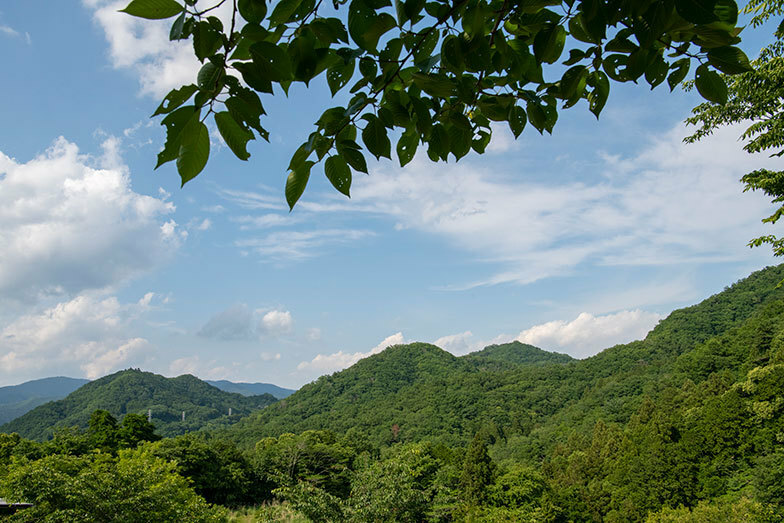 （写真撮影／桑田瑞穂）