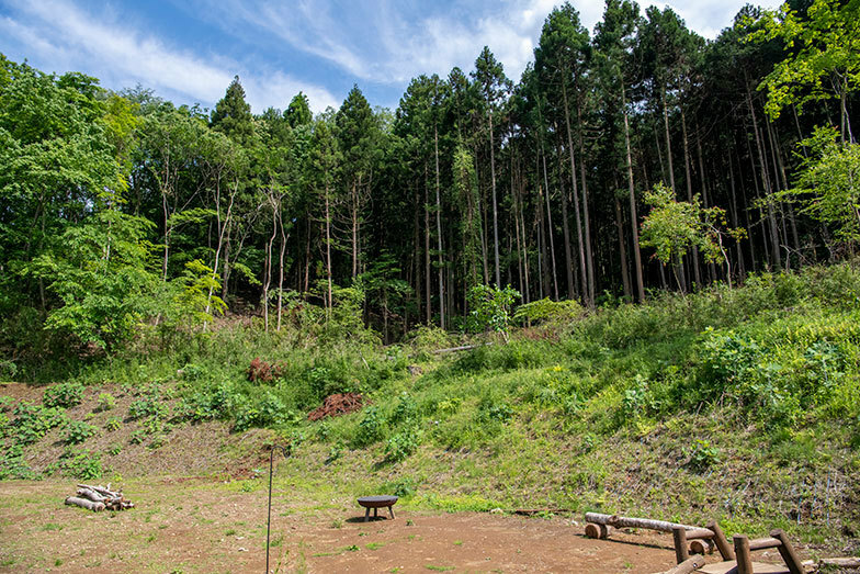 虫村の敷地。里山長屋ができる予定です（写真撮影／桑田瑞穂）