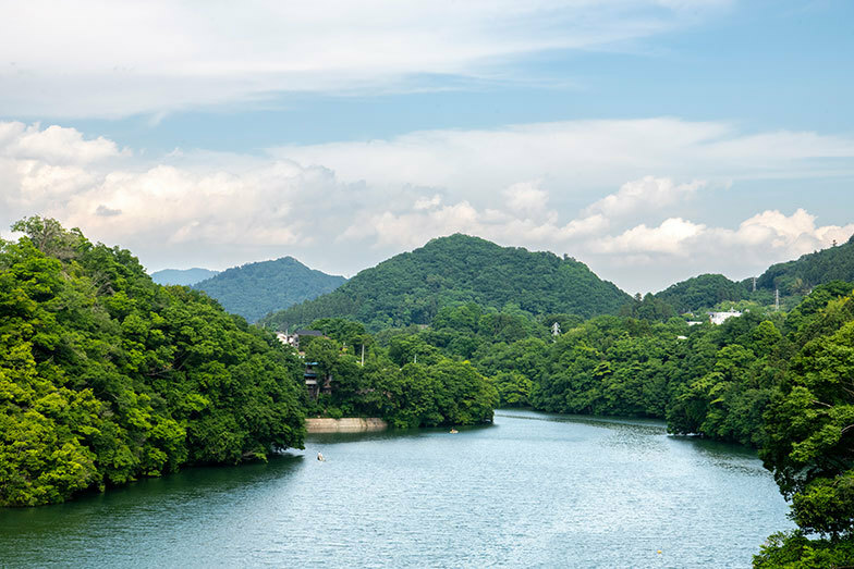 中村さんが好きな藤野の風景。湖を取り囲むように森があり、聖域のよう（写真撮影／桑田瑞穂）