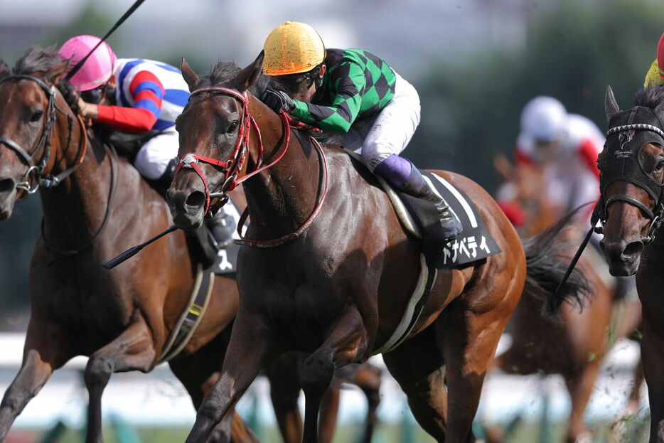 アジア競馬連盟T・ドナベティと武豊騎手