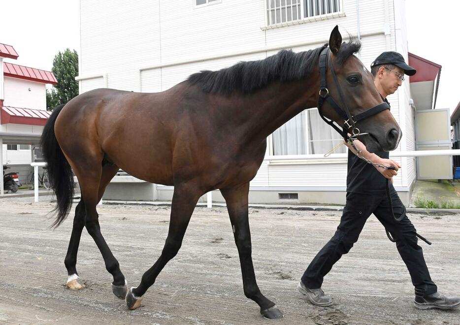 　アスクサヴァイバル