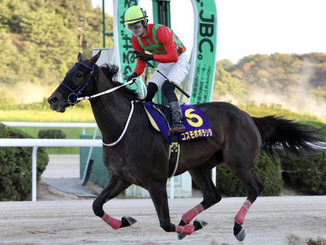 2番人気コスモポポラリタが勝利(提供：佐賀県競馬組合)