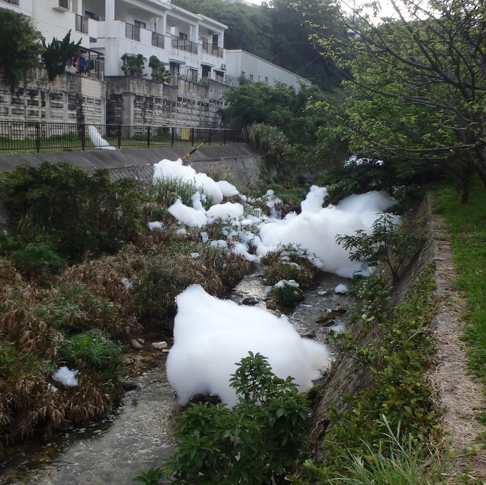 2020年4月11日、沖縄県宜野湾市の大謝名橋付近。宇地泊川に浮かぶ大量の泡消火剤（宜野湾市提供）